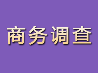 代县商务调查